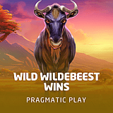 Wild Wildebeest Wins